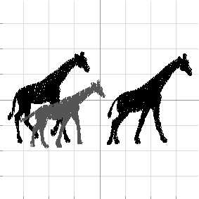 African Safari 1 (8)