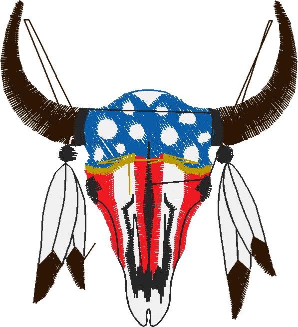 America 10 - American Indians  (15)