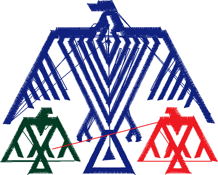 America 10 - American Indians  (17)