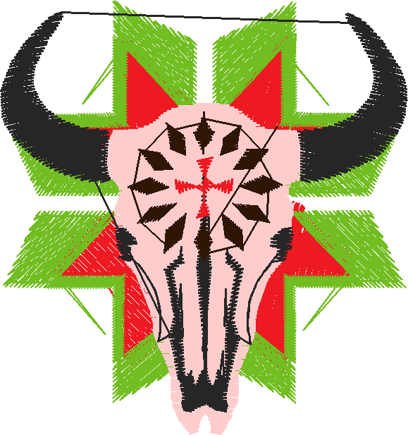 America 10 - American Indians  (8)