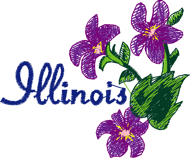 America 12 - State Flowers  (17)