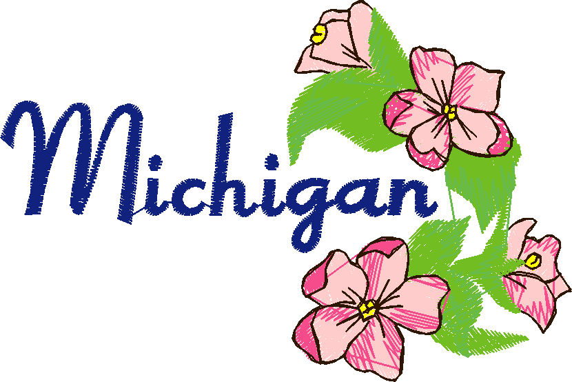 America 12 - State Flowers  (22)