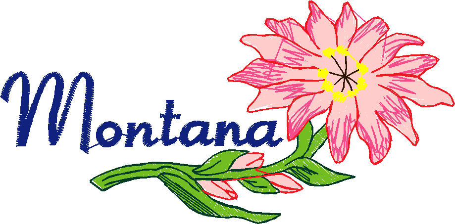 America 12 - State Flowers  (24)