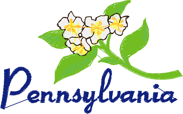 America 12 - State Flowers  (28)