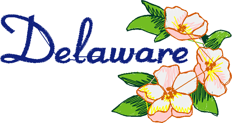 America 12 - State Flowers  (35)