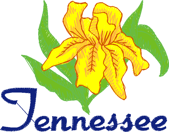 America 12 - State Flowers  (40)