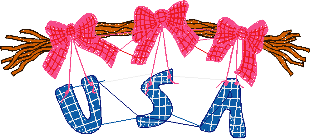 America 9 - Country  (17)