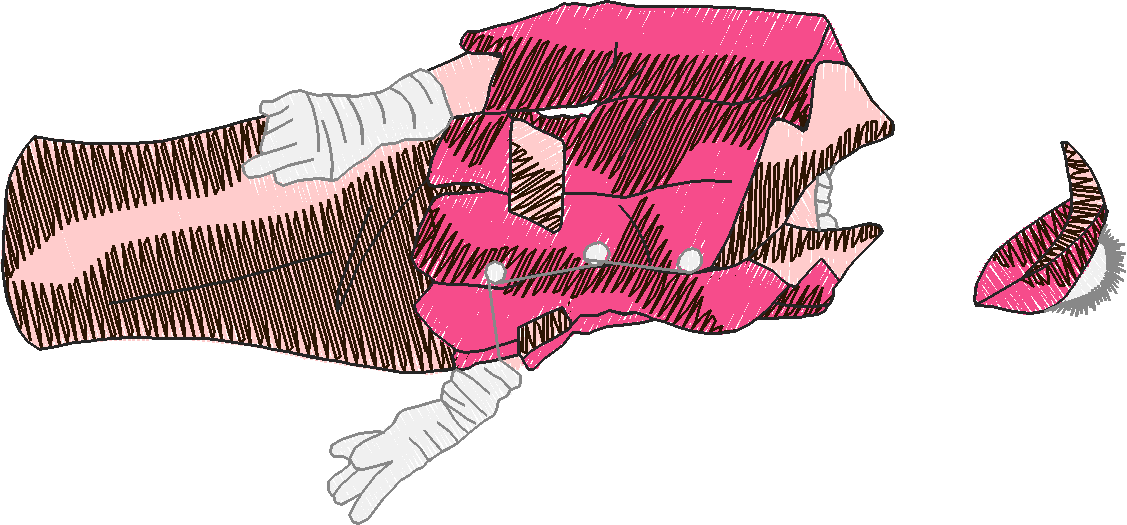 American Beauties 1 (11)