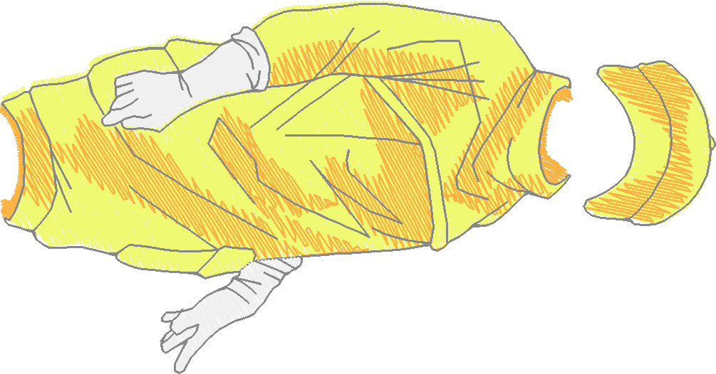 American Beauties 1 (12)