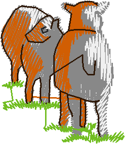 Animals 10 - Farm Yard 2  (2)