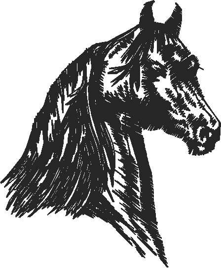 Animals 11 - Horses  (1)