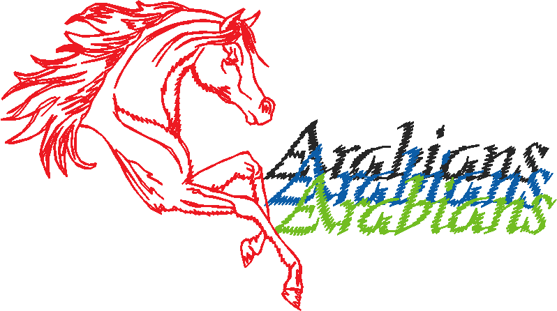 Animals 11 - Horses  (21)