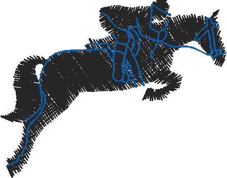 Animals 11 - Horses  (28)