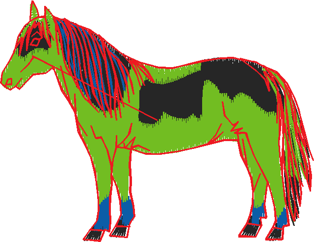 Animals 11 - Horses  (45)