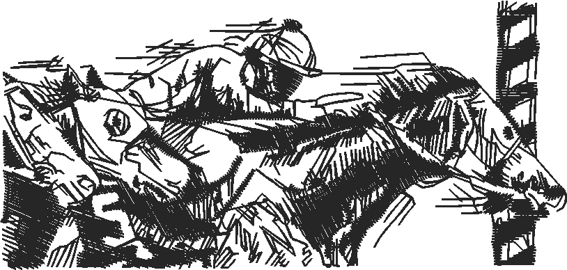 Animals 11 - Horses  (51)