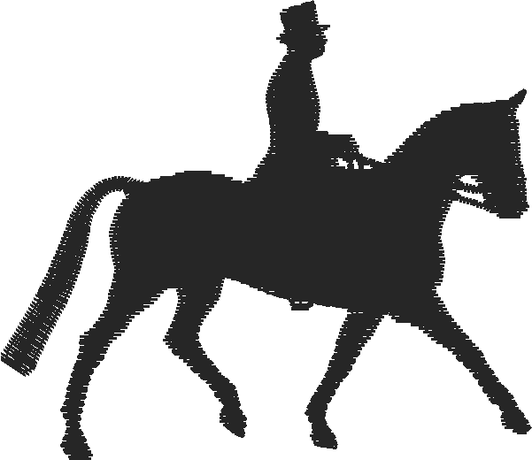 Animals 11 - Horses  (52)