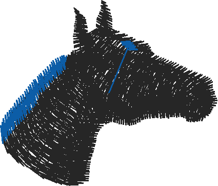 Animals 11 - Horses  (57)