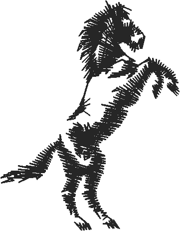 Animals 11 - Horses  (59)