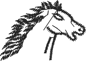 Animals 11 - Horses  (60)