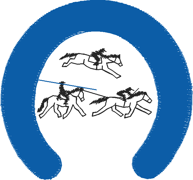 Animals 11 - Horses  (72)