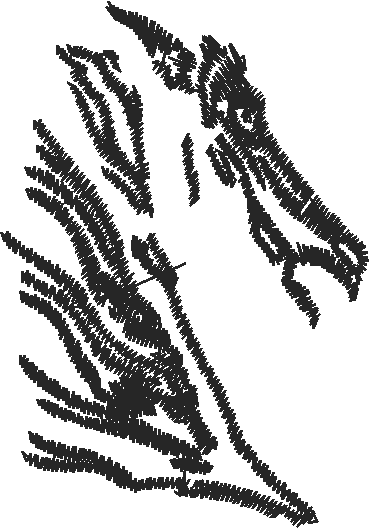 Animals 11 - Horses  (77)