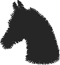 Animals 11 - Horses  (78)