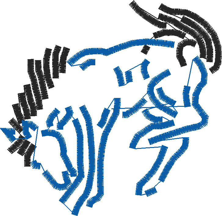 Animals 11 - Horses  (81)