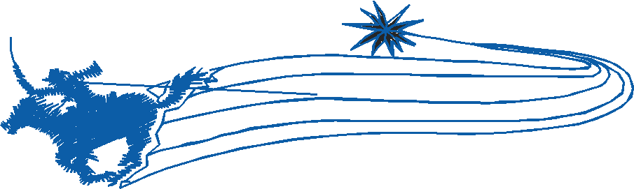 Animals 11 - Horses  (84)