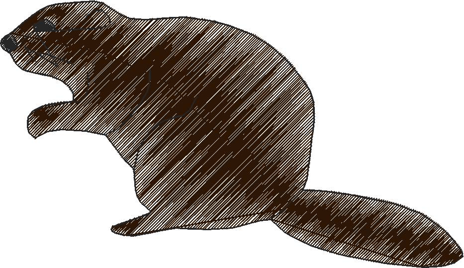 Animals 15 - Kids 4  (15)