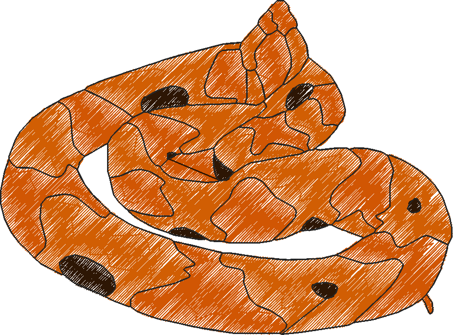 Animals 15 - Kids 4  (16)