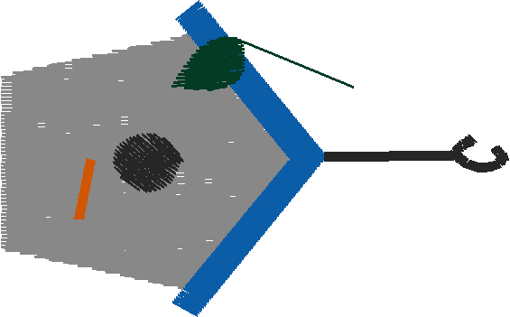 Animals 16 - Kids 5  (41)