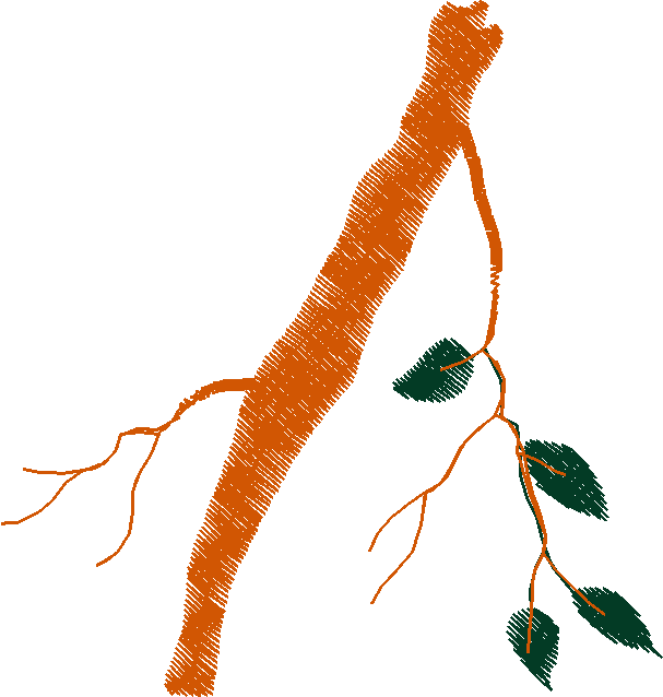 Animals 16 - Kids 5  (43)