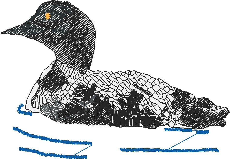 Animals 16 - Kids 5  (62)