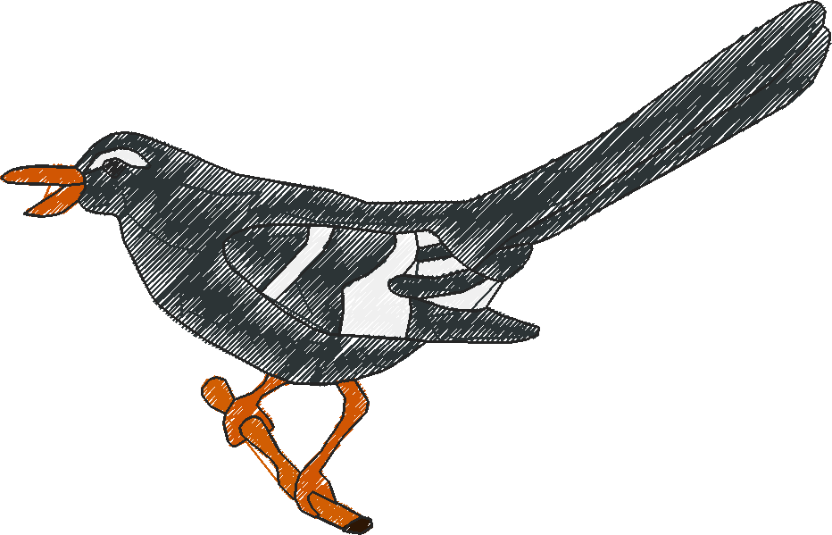 Animals 16 - Kids 5  (67)