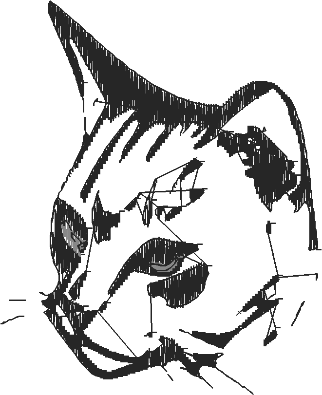 Animals 16 - Kids 5  (99)