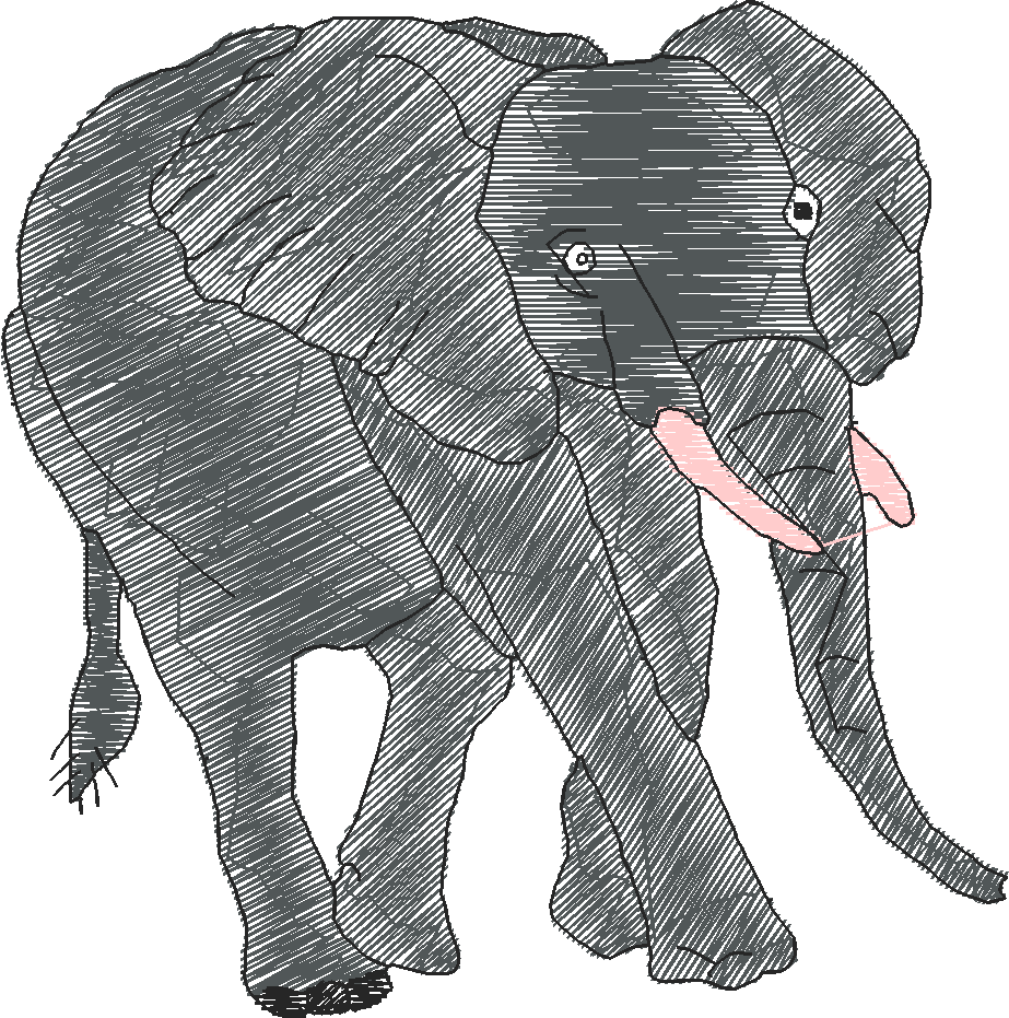 Animals 17 - Kids 6  (11)