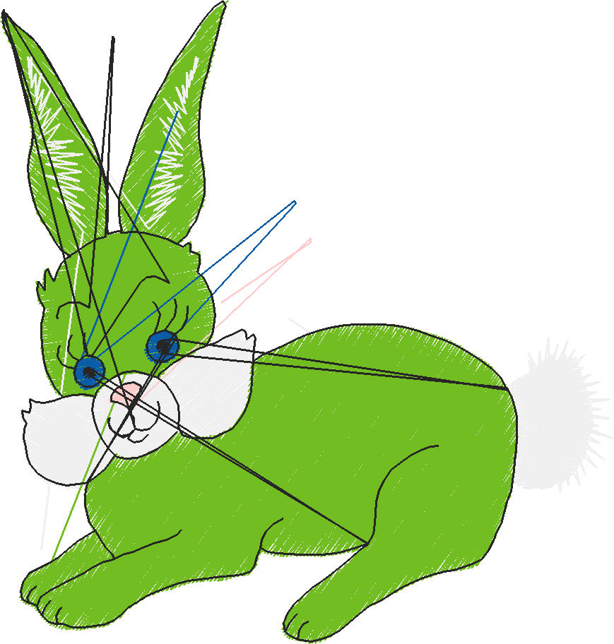 Animals 17 - Kids 6  (16)