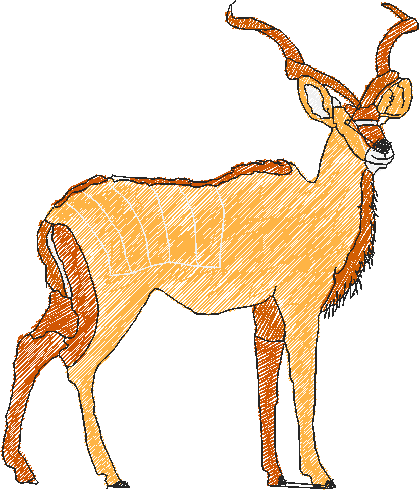 Animals 17 - Kids 6  (19)