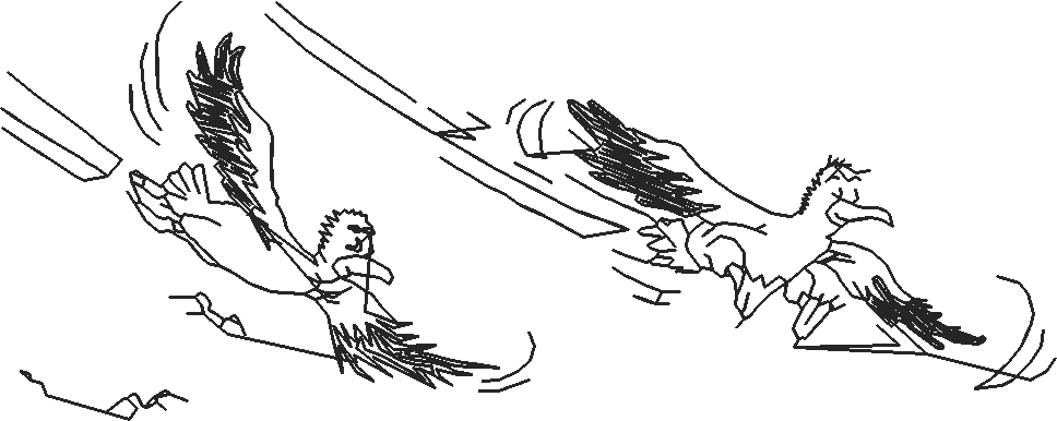 Animals 17 - Kids 6  (24)