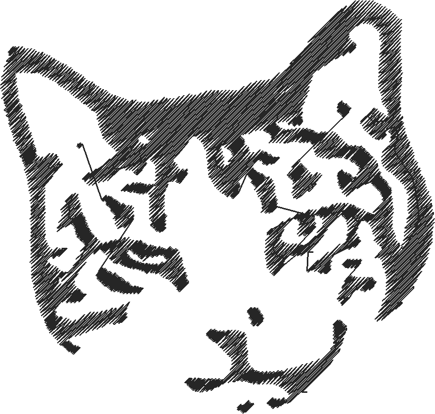 Animals 17 - Kids 6  (28)