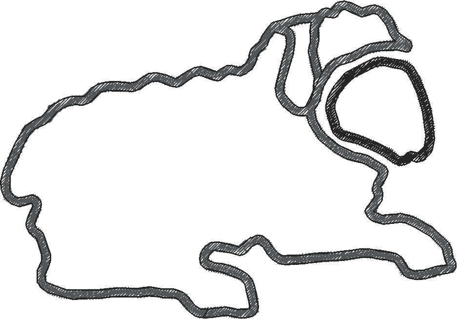 Animals 17 - Kids 6  (32)