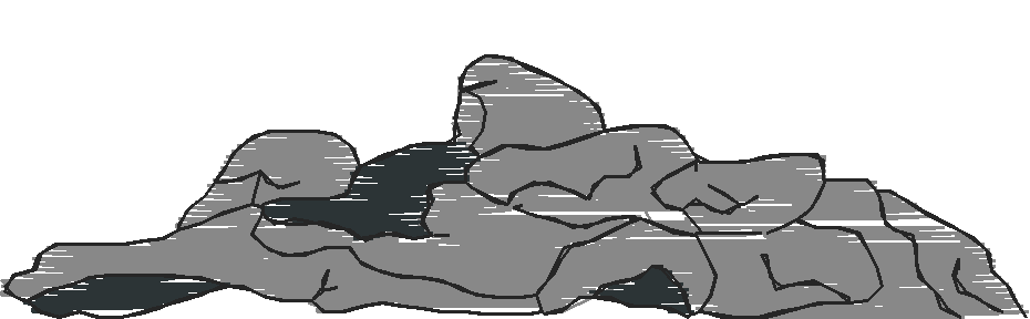 Animals 17 - Kids 6  (37)