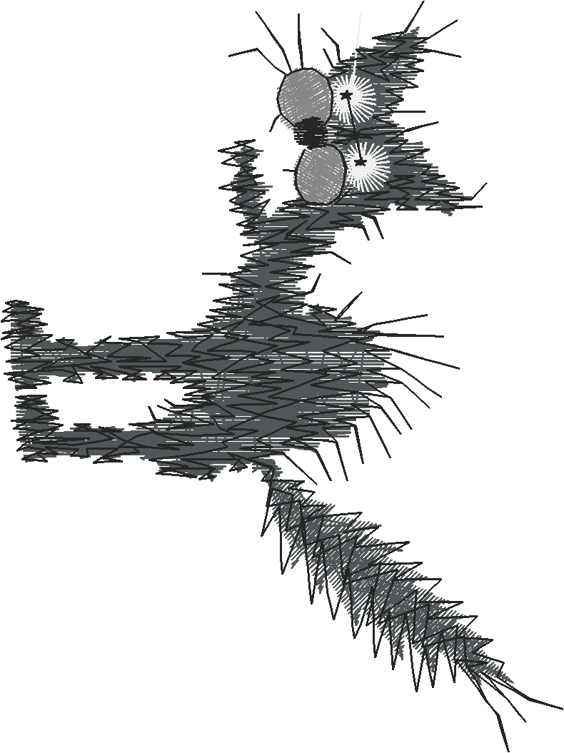 Animals 17 - Kids 6  (45)