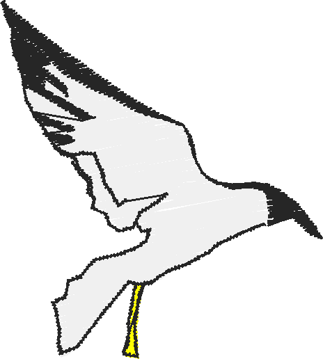 Animals 17 - Kids 6  (54)