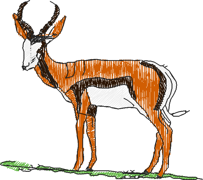 Animals 17 - Kids 6  (69)