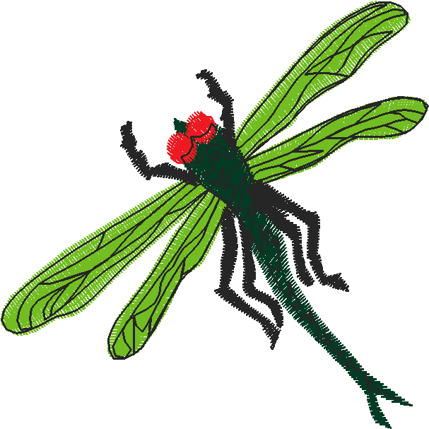 Animals 18 - Mixed 1  (7)