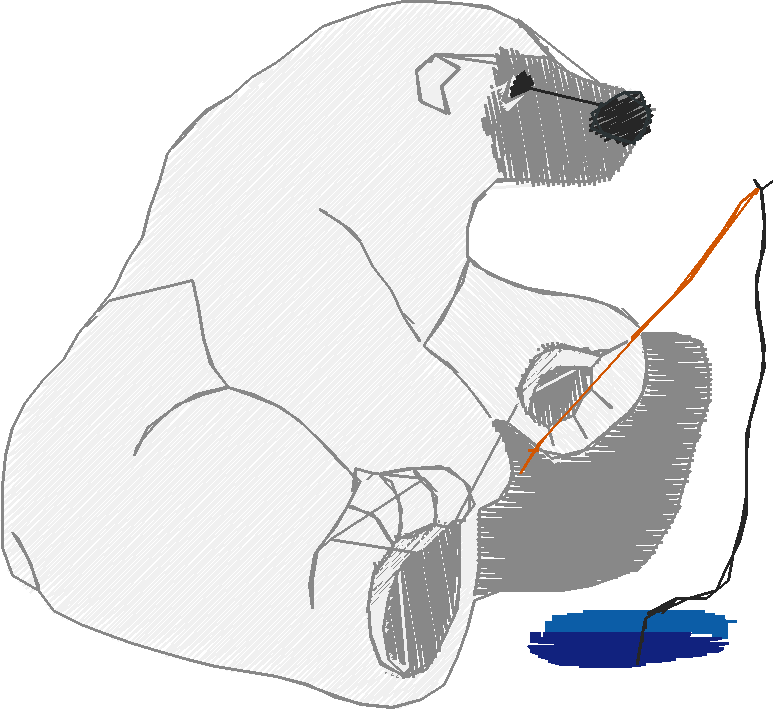 Animals 19 - Mixed 2  (11)