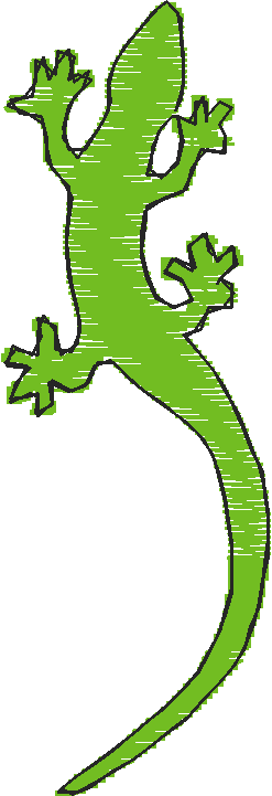 Animals 19 - Mixed 2  (12)