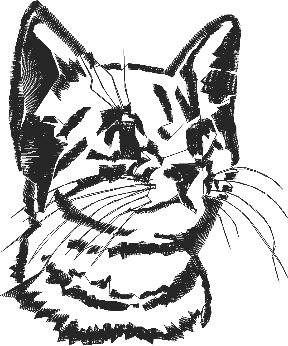 Animals 19 - Mixed 2  (17)