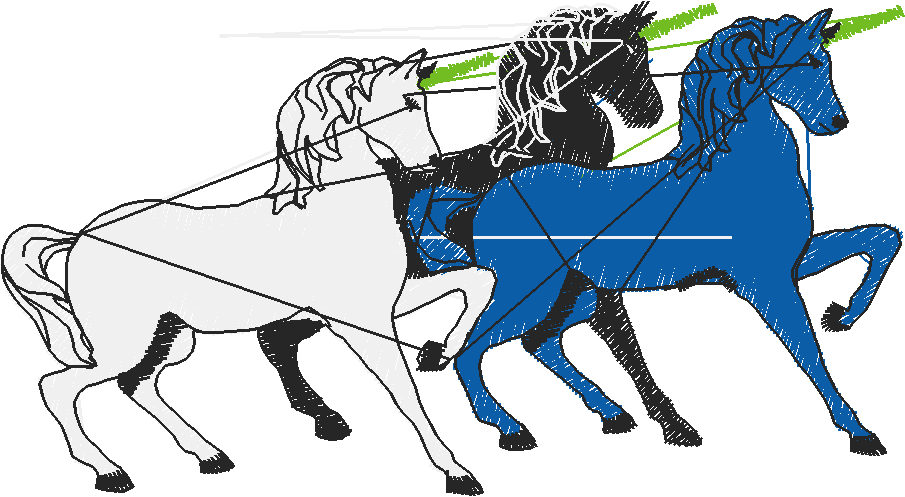 Animals 19 - Mixed 2  (21)